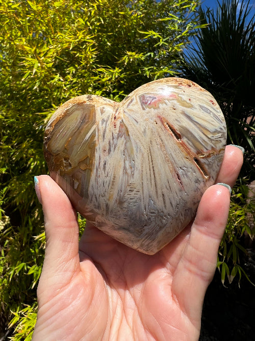 Bahia Jasper Heart
