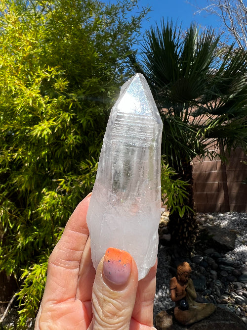 Lemurian Cutbase