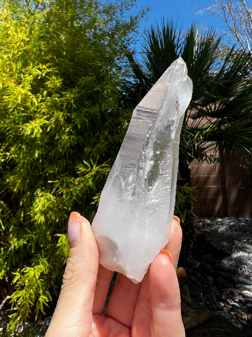 Lemurian Cutbase
