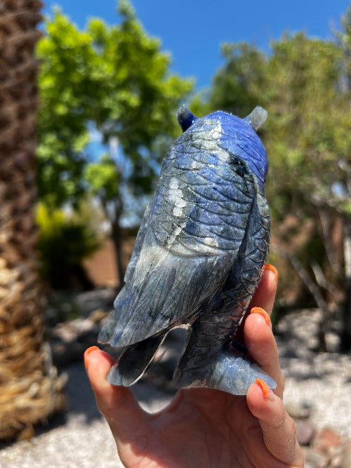 Sodalite Owl