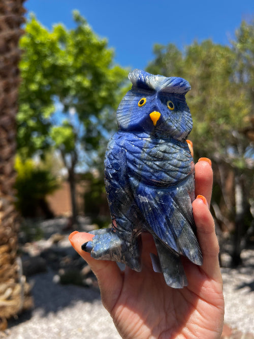 Sodalite Owl