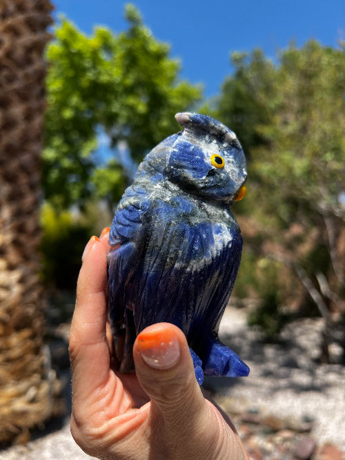 Sodalite Owl