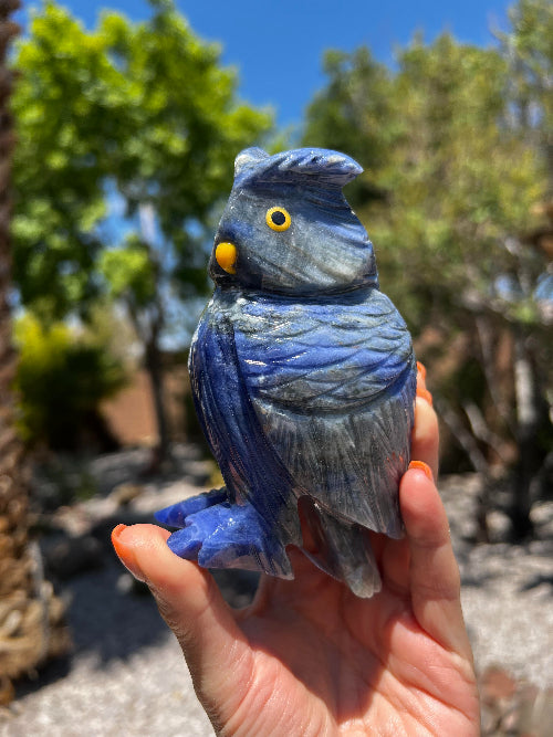 Sodalite Owl