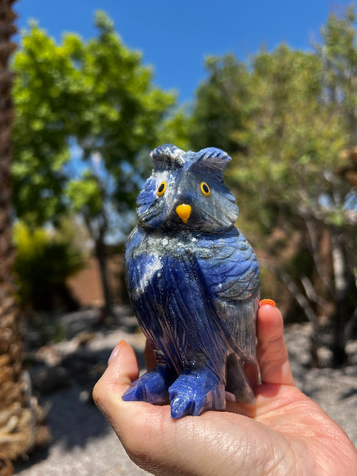 Sodalite Owl