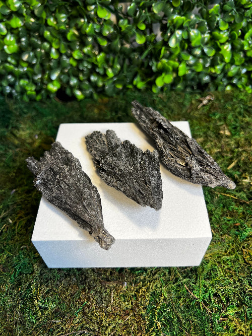 Black Kyanite