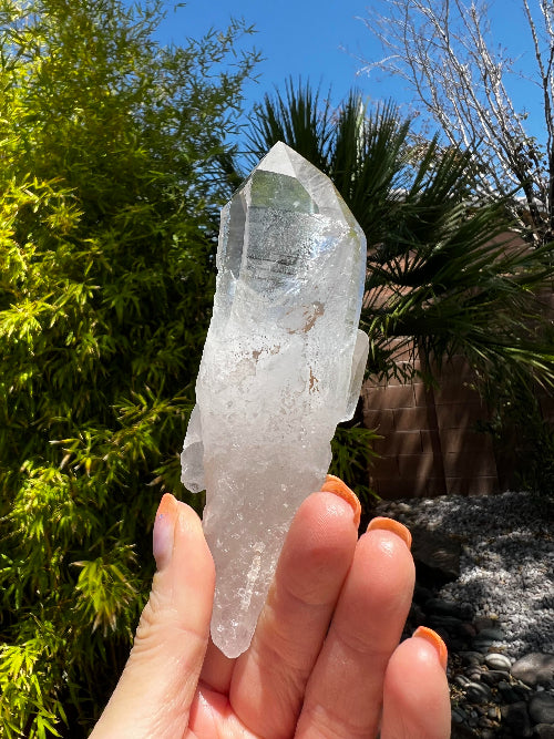 Lemurian Cutbase