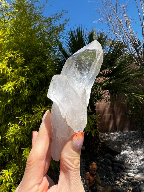Lemurian Cutbase