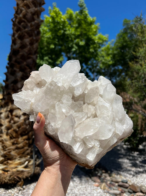 Lemurian Quartz Crystal Cluster