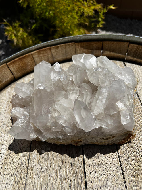 Lemurian Quartz Crystal Cluster