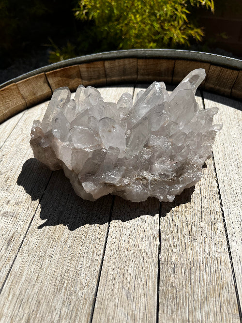 Lemurian Quartz Crystal Cluster
