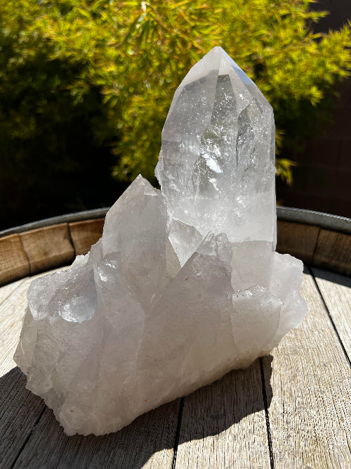 Lemurian Quartz Crystal Cluster