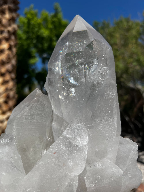 Lemurian Quartz Crystal Cluster