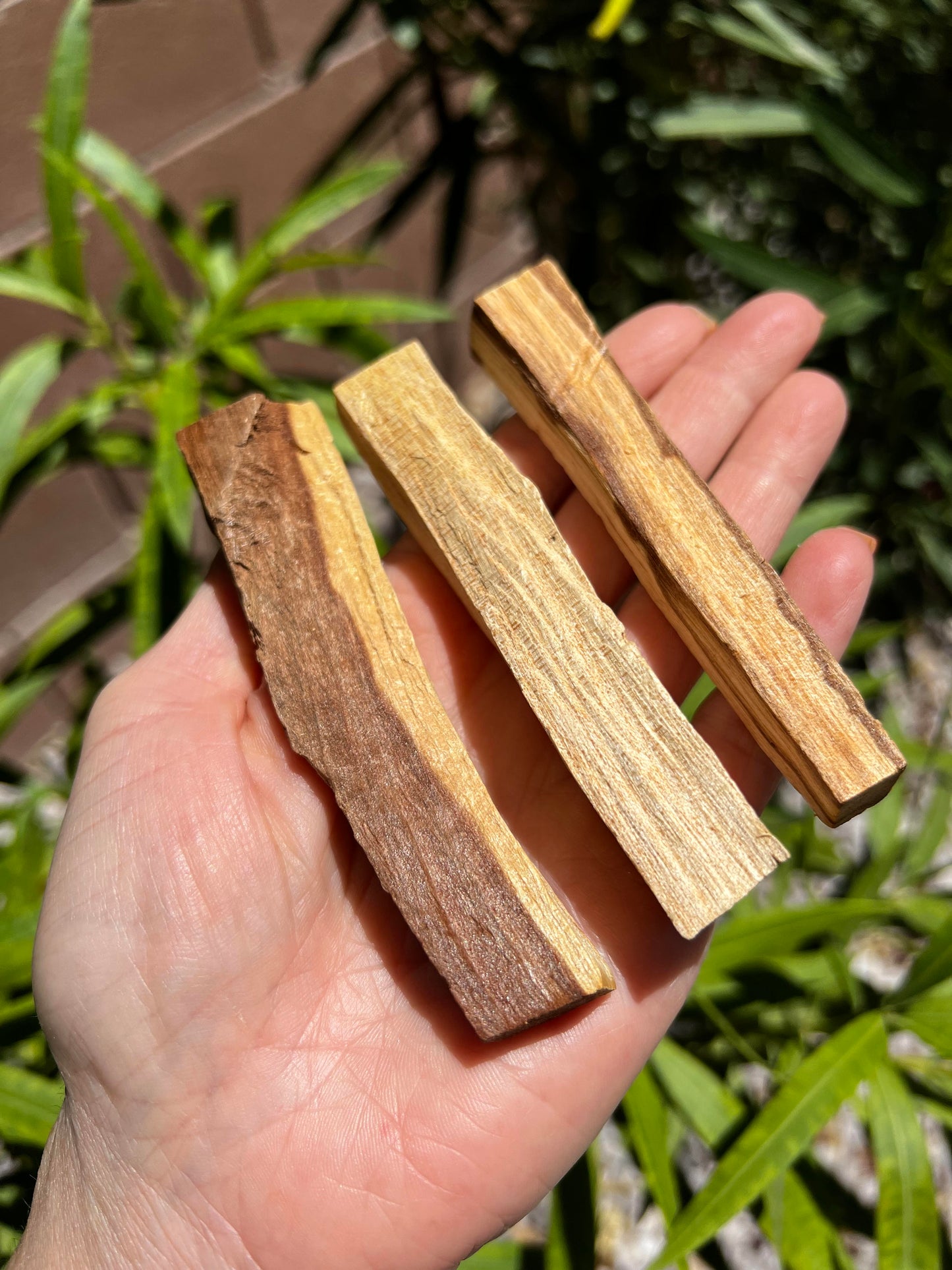 Palo Santo Bundle (3)