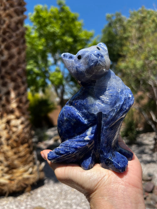Sodalite Cat