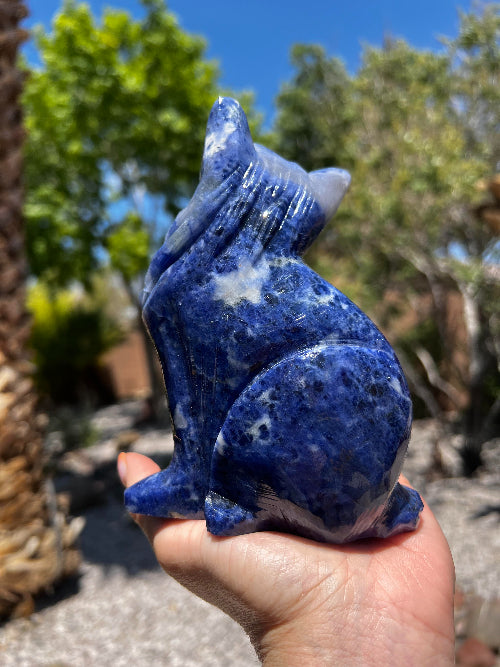 Sodalite Cat
