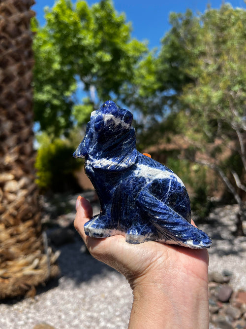 Sodalite Dog