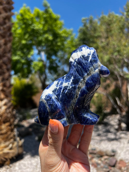 Sodalite Dog