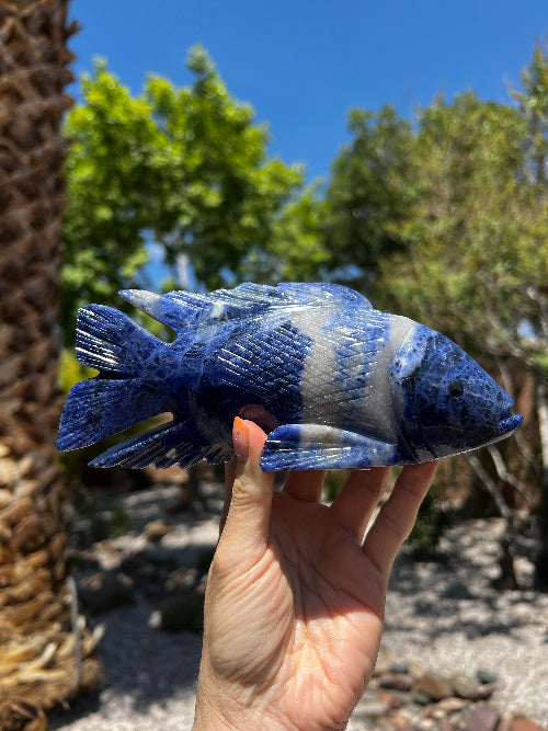 Sodalite Fish