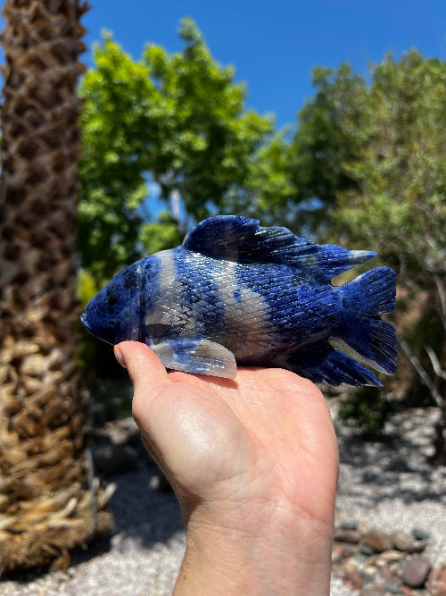 Sodalite Fish