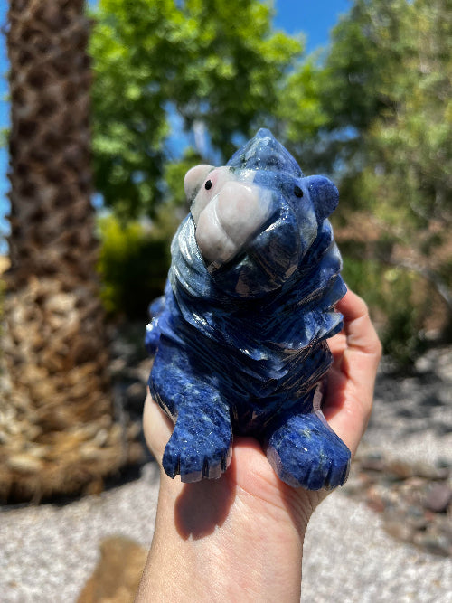 Sodalite Lion