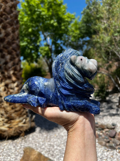 Sodalite Lion