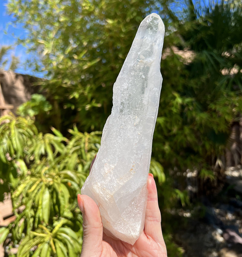 Image of a hand holding a lemurian crystal.